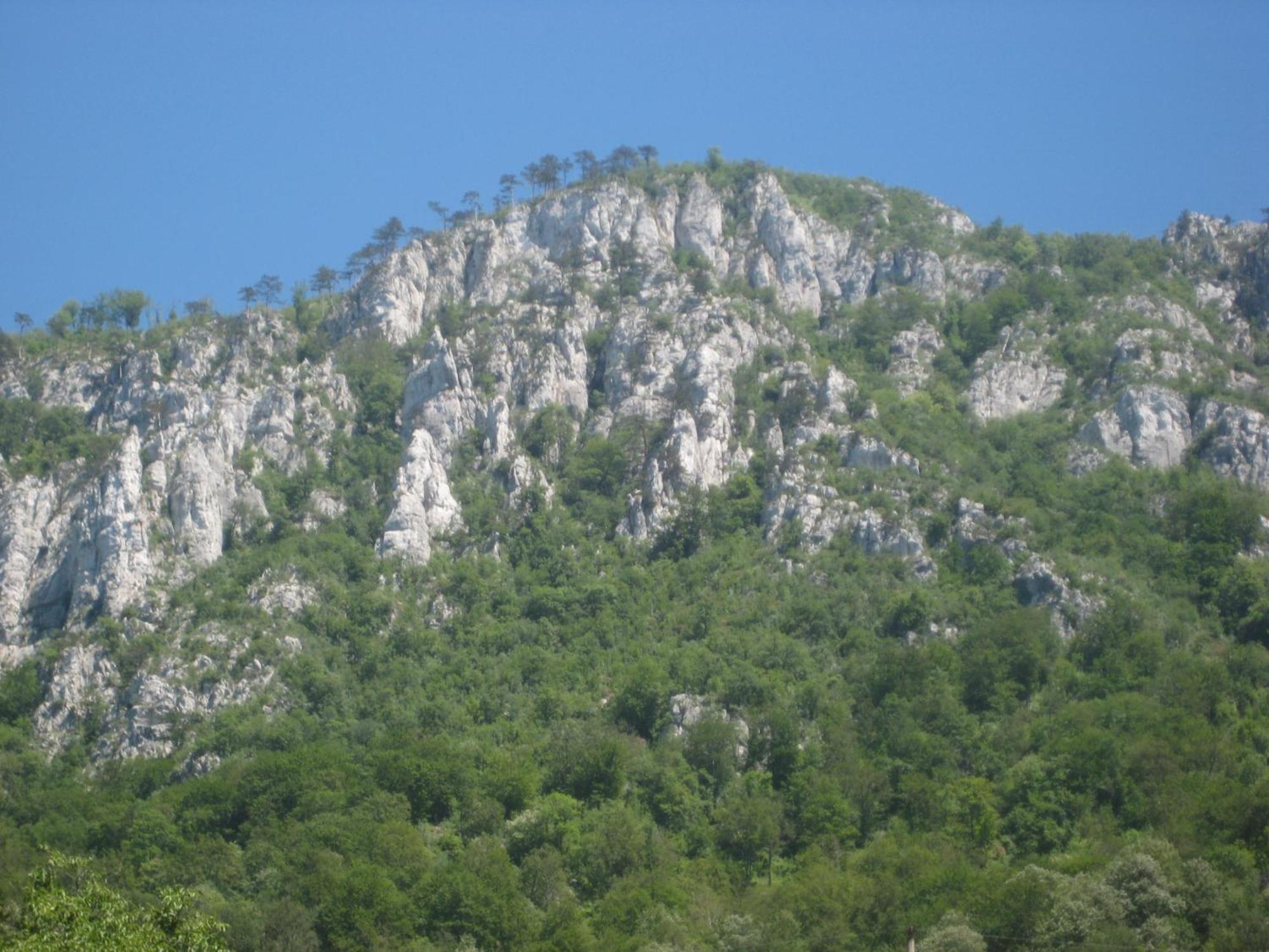 Pension Eden Băile Herculane Esterno foto