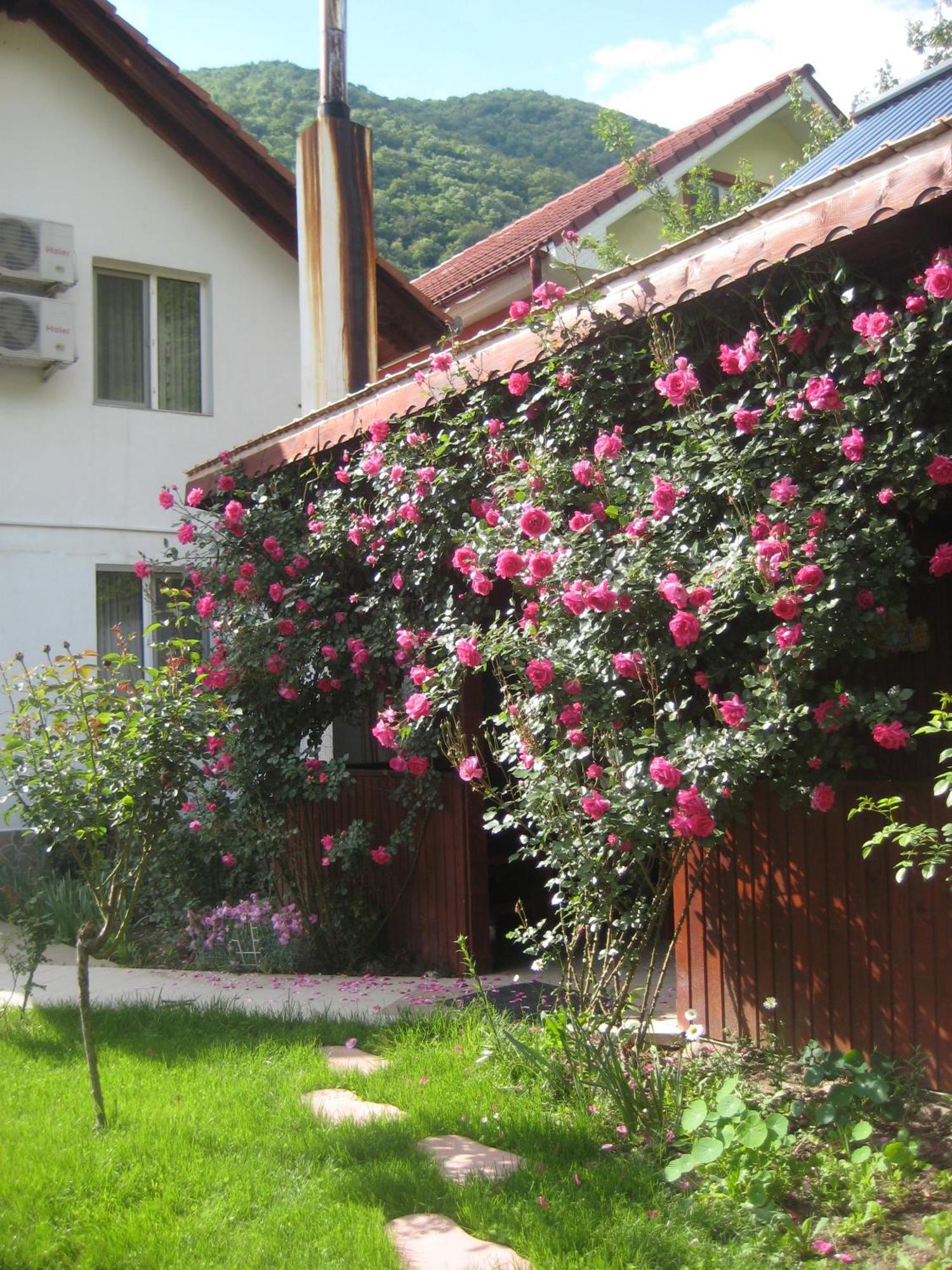 Pension Eden Băile Herculane Esterno foto