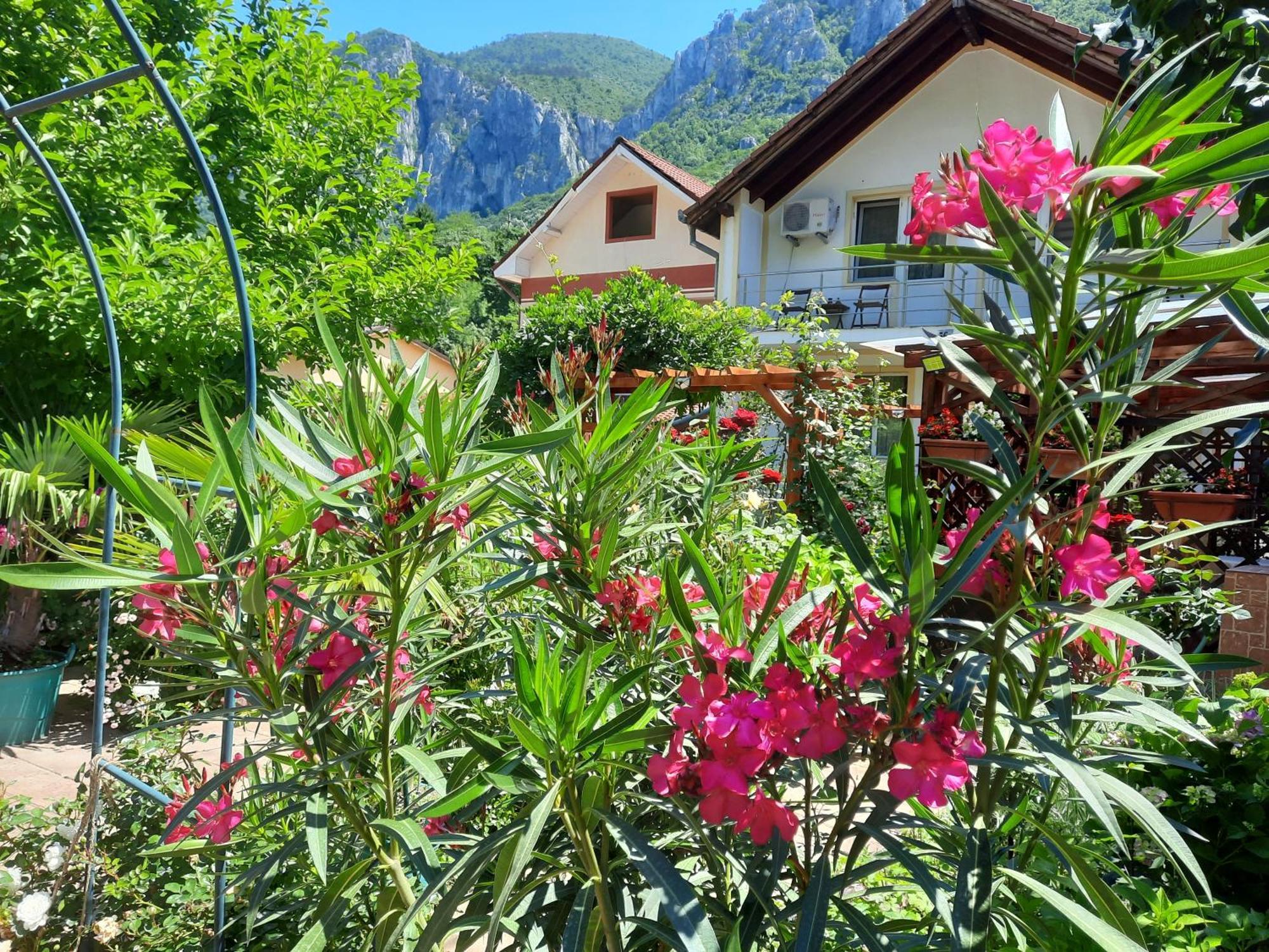 Pension Eden Băile Herculane Esterno foto