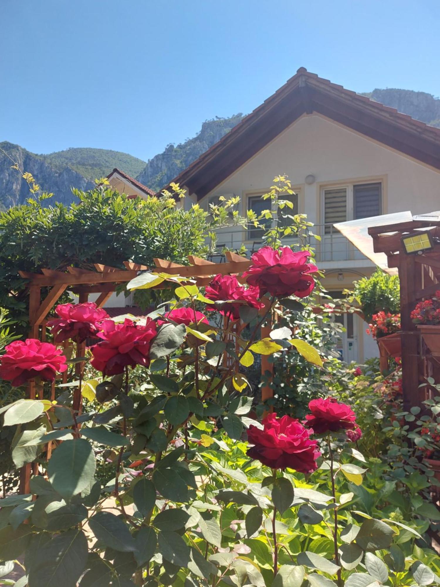 Pension Eden Băile Herculane Esterno foto