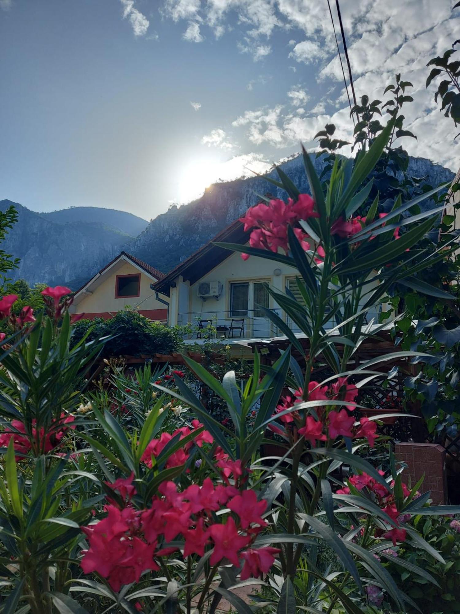Pension Eden Băile Herculane Esterno foto