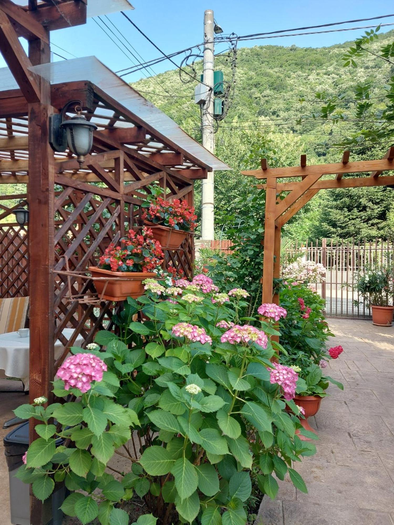 Pension Eden Băile Herculane Esterno foto